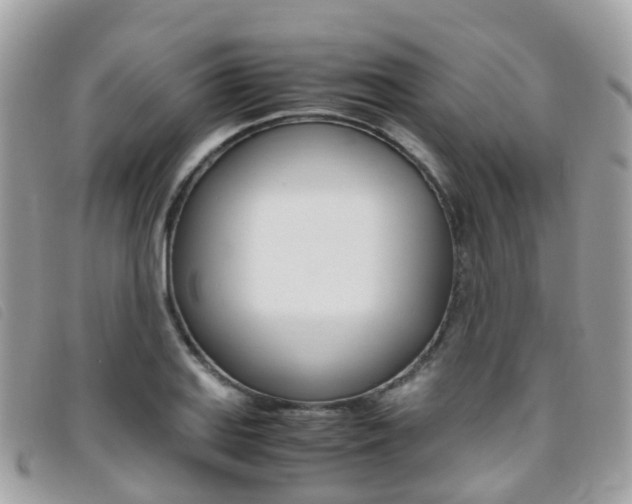 X0000095911127200801110821
