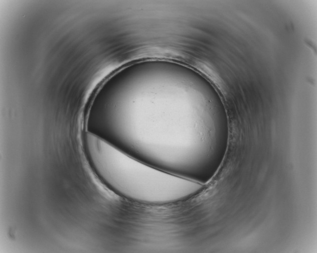 X0000095911128200801110821