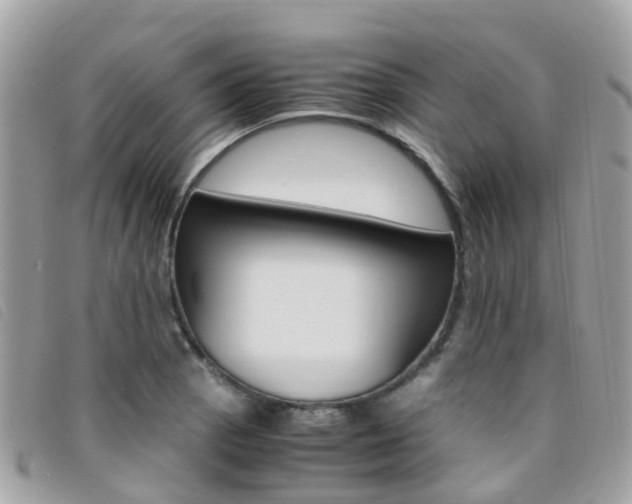 X0000095911129200801110821