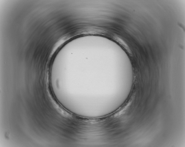 X0000095911130200801110821