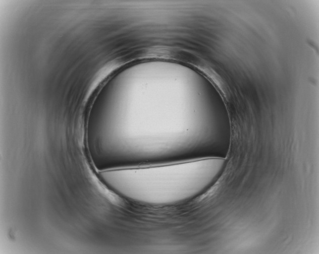 X0000095911131200801110821