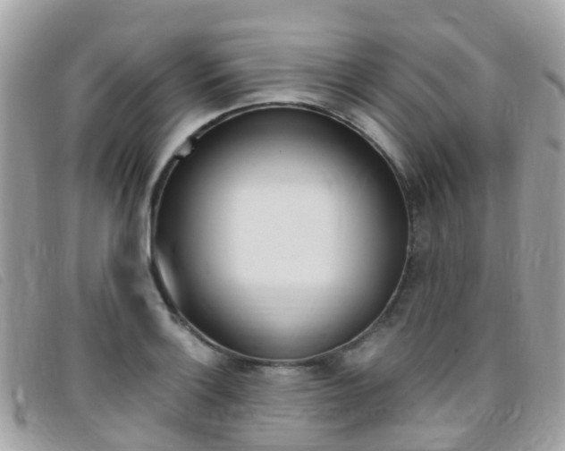 X0000095911132200801110821