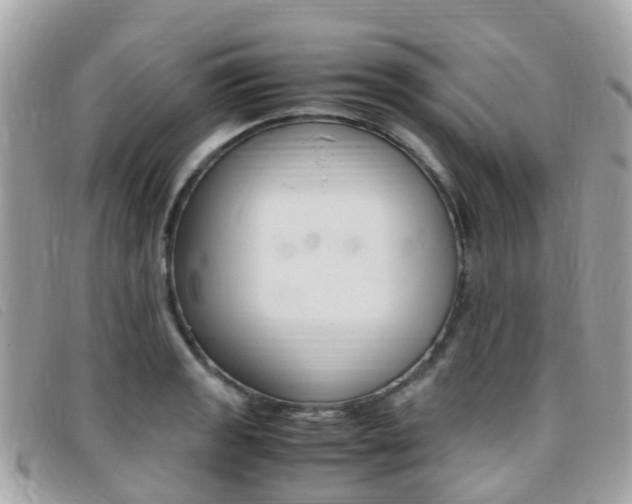 X0000095911133200801110821