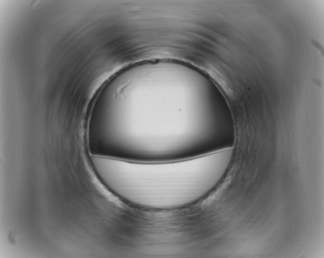 X0000095911134200801110821