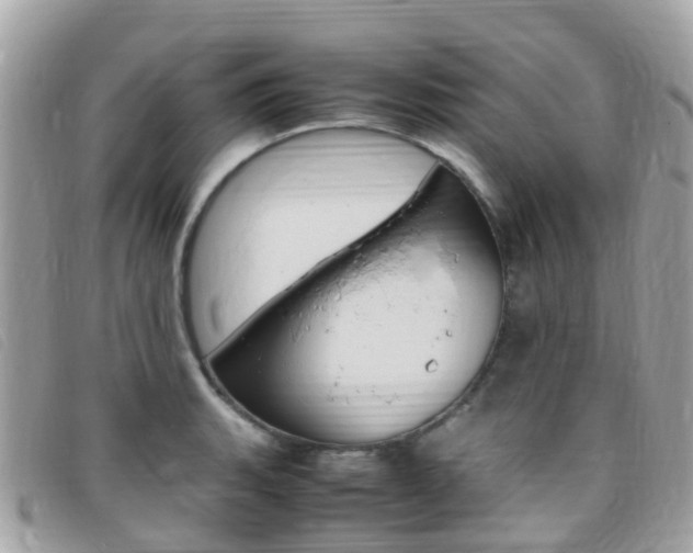 X0000095911135200801110821