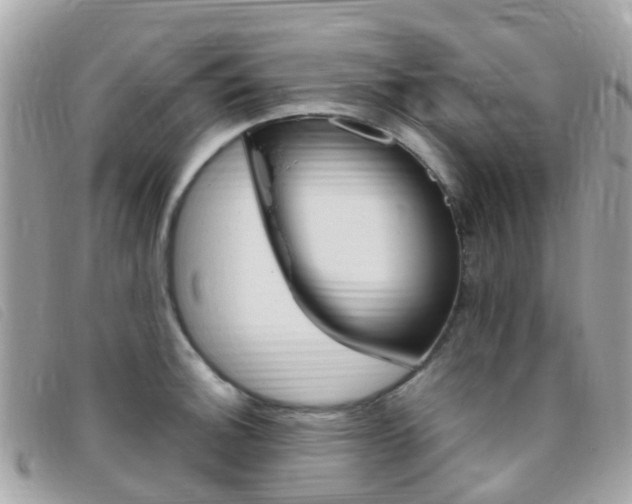 X0000095911140200801110821