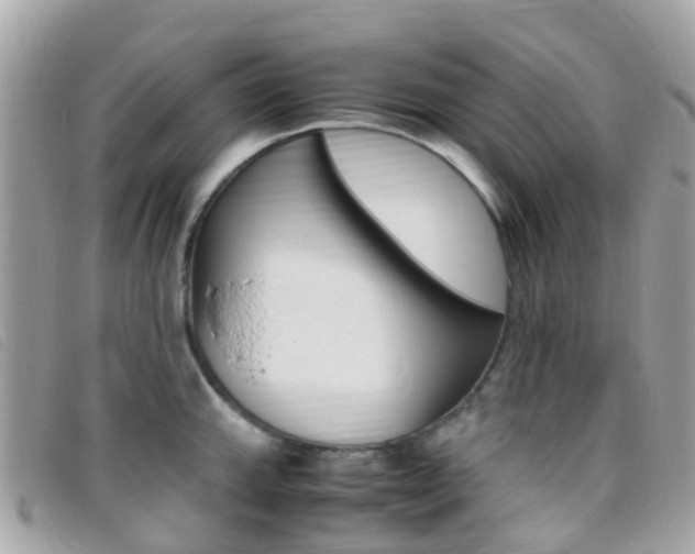 X0000095911143200801110821