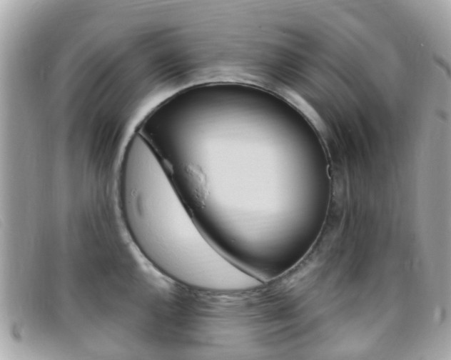 X0000095911144200801110821