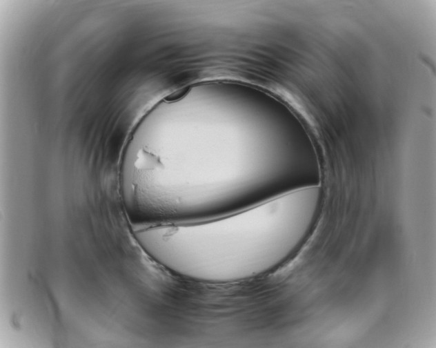 X0000095911145200801110822