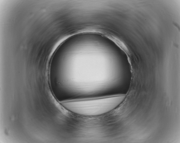 X0000095911148200801110822