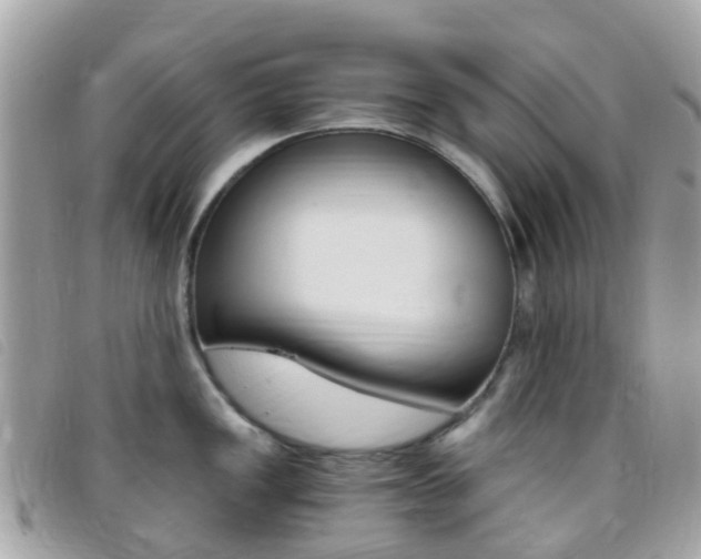 X0000095911149200801110822