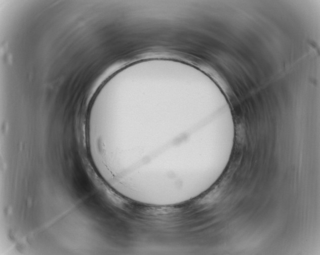 X0000095911150200801110822