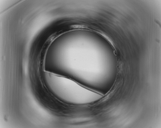 X0000095911151200801110822