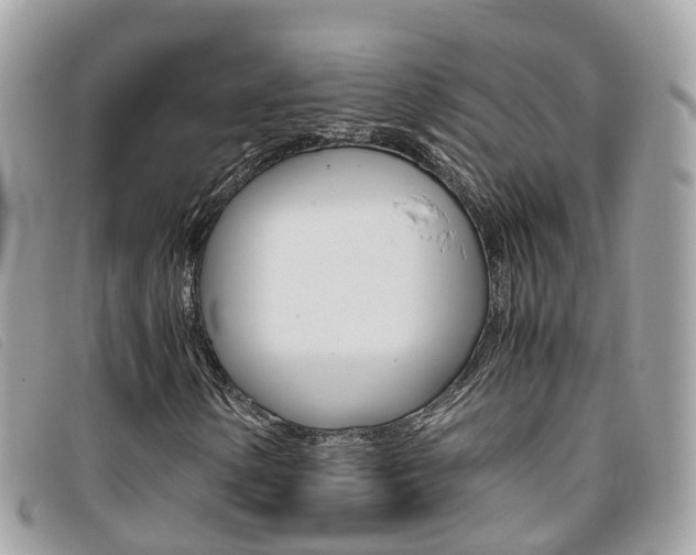 X0000095911154200801110821