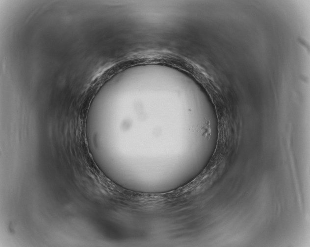 X0000095911158200801110821