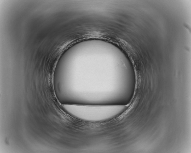 X0000095911161200801110821