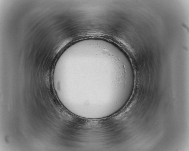 X0000095911162200801110821