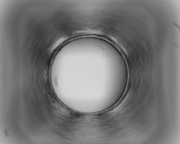 X0000095911163200801110821