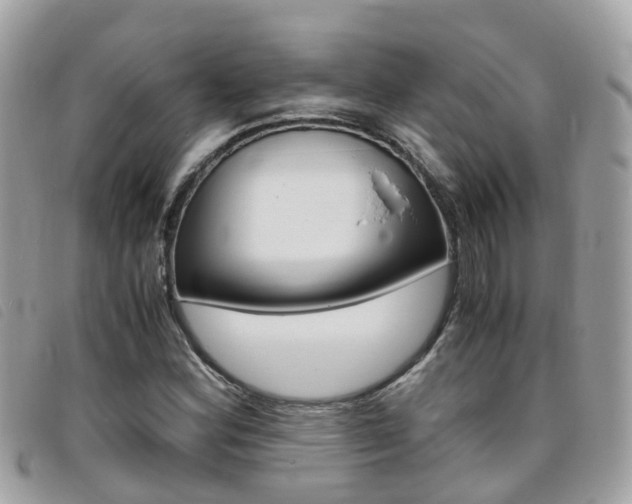 X0000095911164200801110821