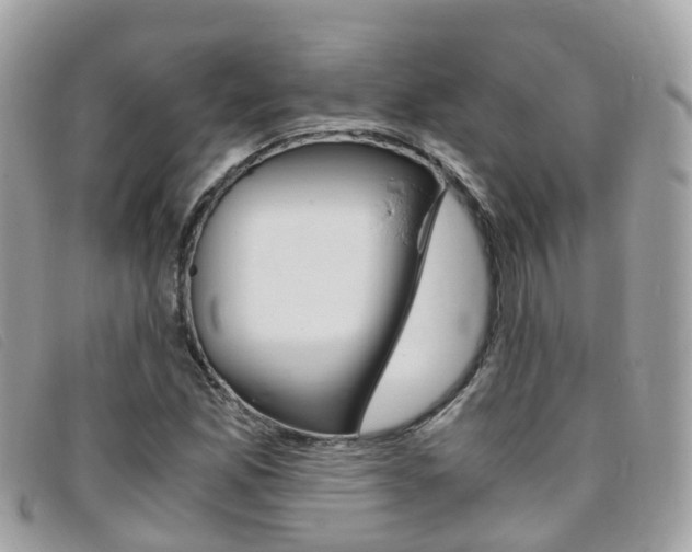 X0000095911165200801110821