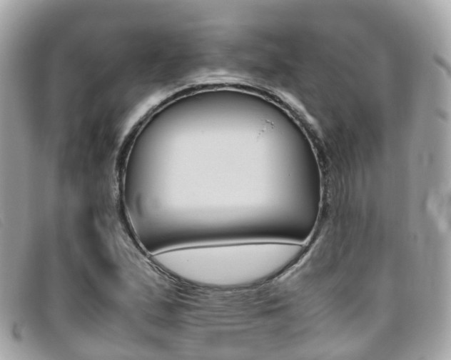 X0000095911167200801110821