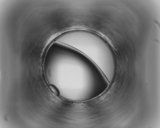 X0000095911168200801110821