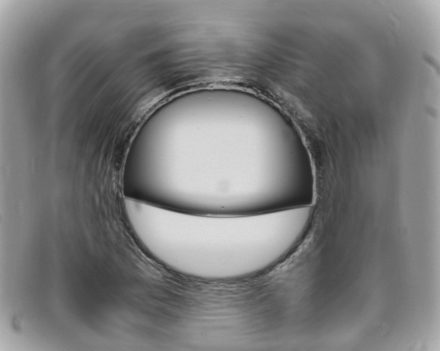 X0000095911169200801110821