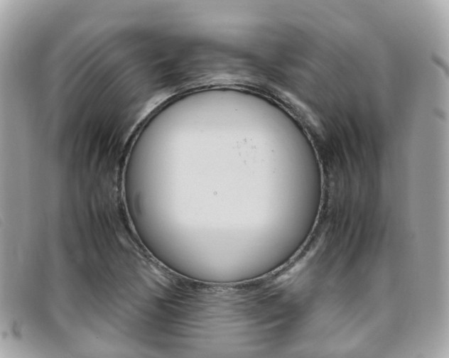 X0000095911170200801110821