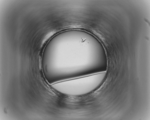 X0000095911171200801110821