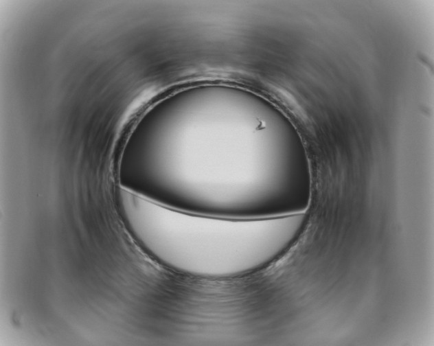 X0000095911172200801110821
