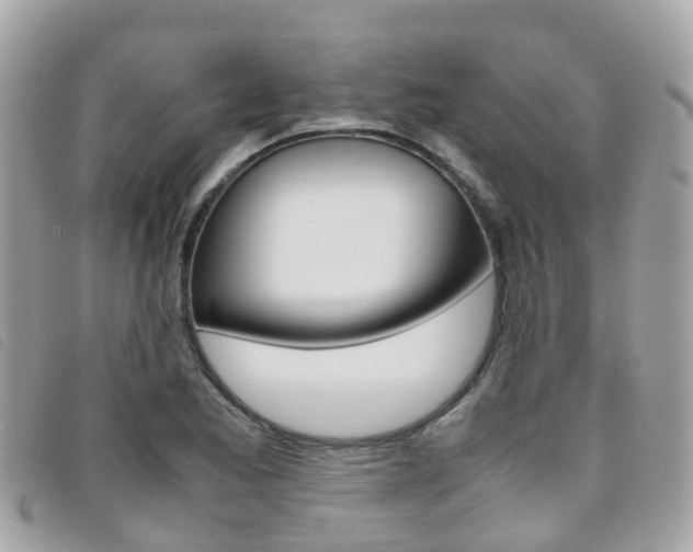 X0000095911173200801110821