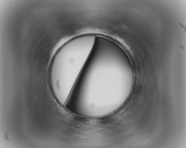 X0000095911175200801110820