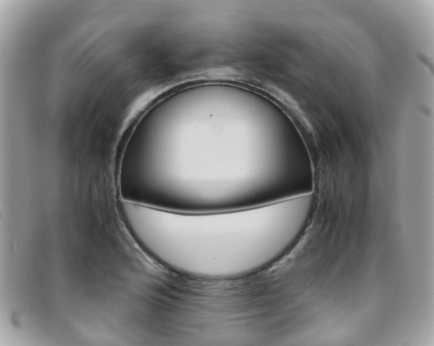 X0000095911176200801110820