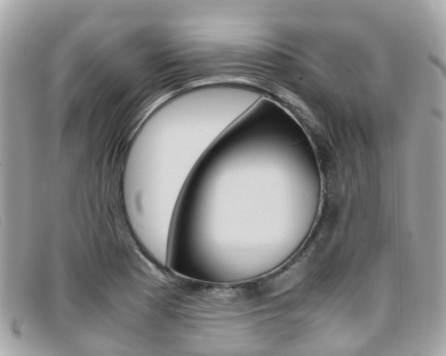 X0000095911177200801110820
