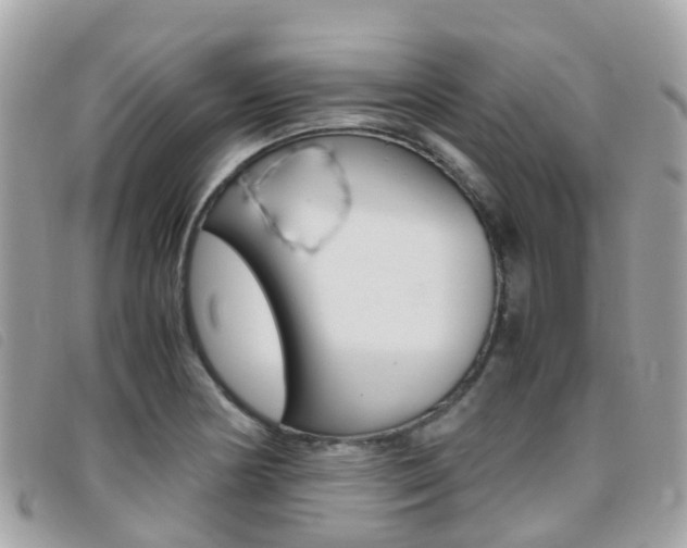 X0000095911178200801110820