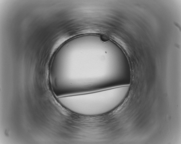 X0000095911179200801110820