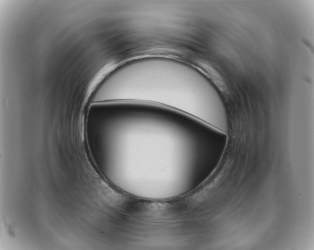 X0000095911180200801110820