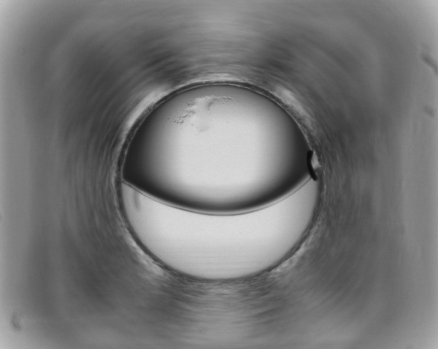X0000095911181200801110820