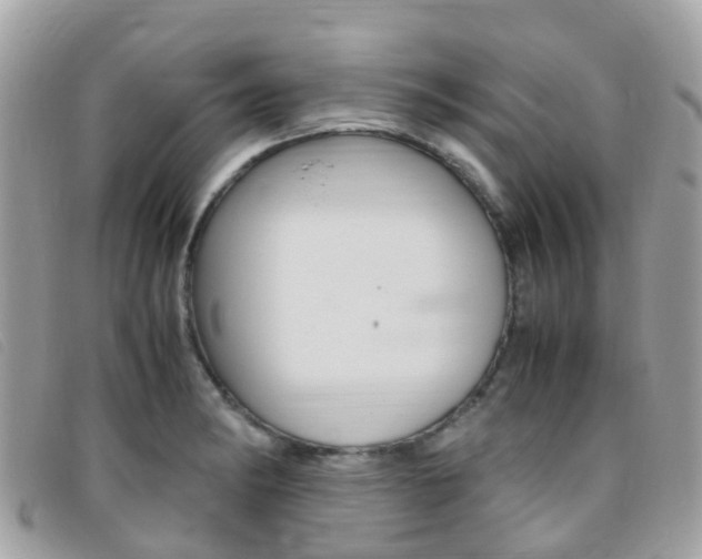 X0000095911182200801110820