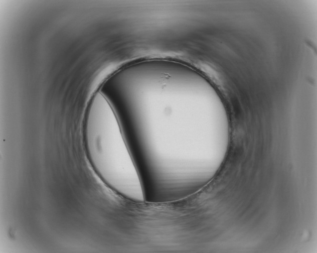 X0000095911183200801110820