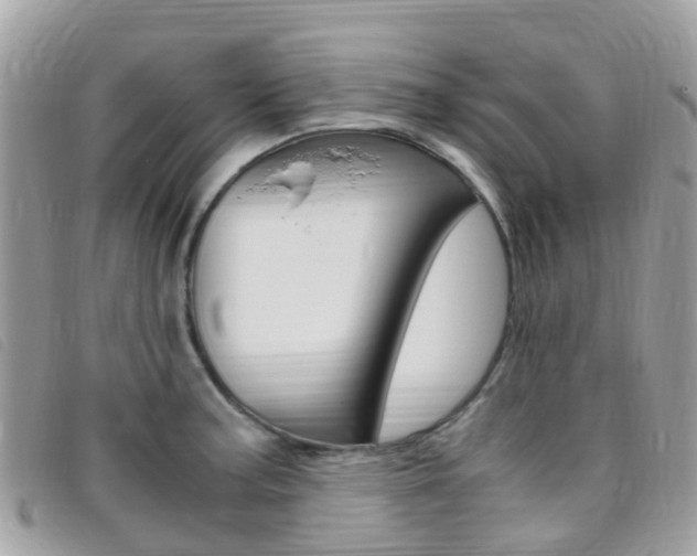 X0000095911187200801110820