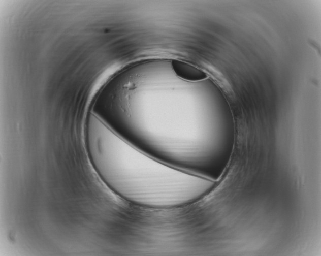 X0000095911188200801110820