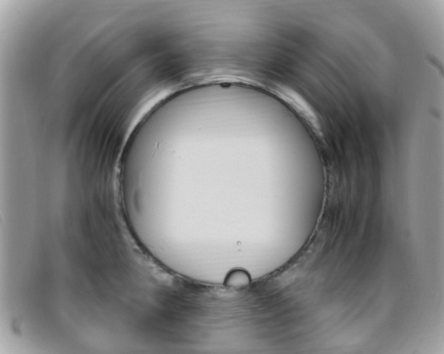 X0000095911190200801110820