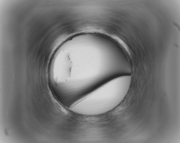 X0000095911191200801110820