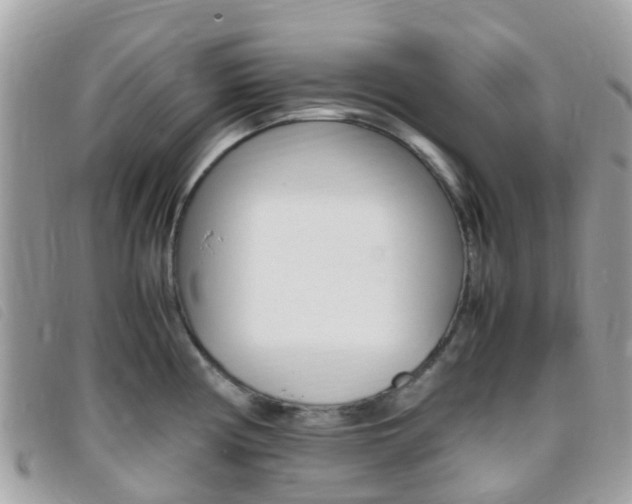 X0000095911194200801110820