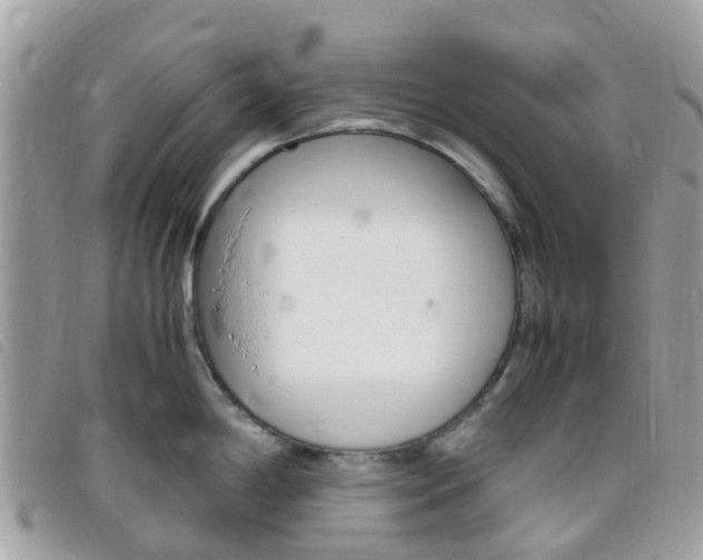 X0000095911198200801110820