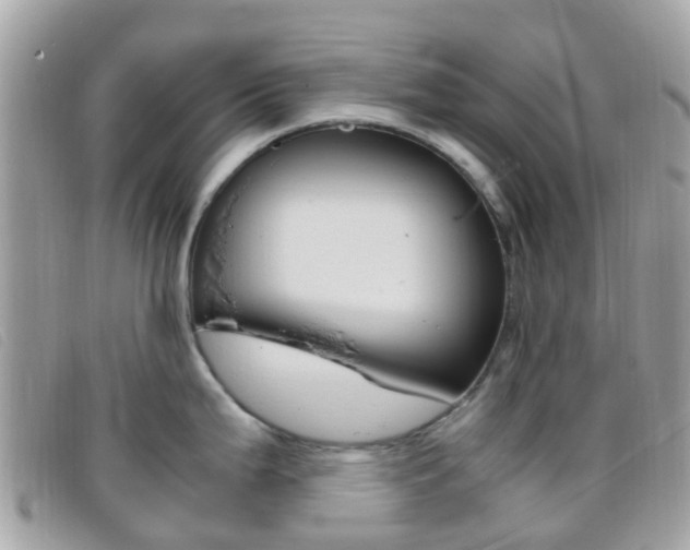 X0000095911199200801110820