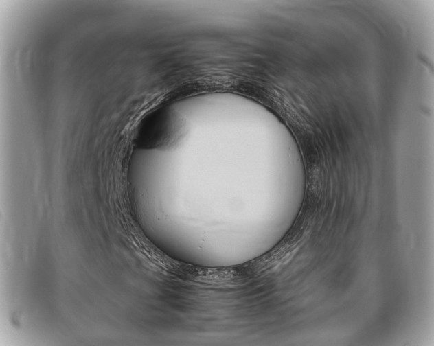 X0000095911201200801110819