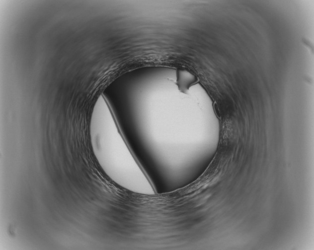 X0000095911202200801110819