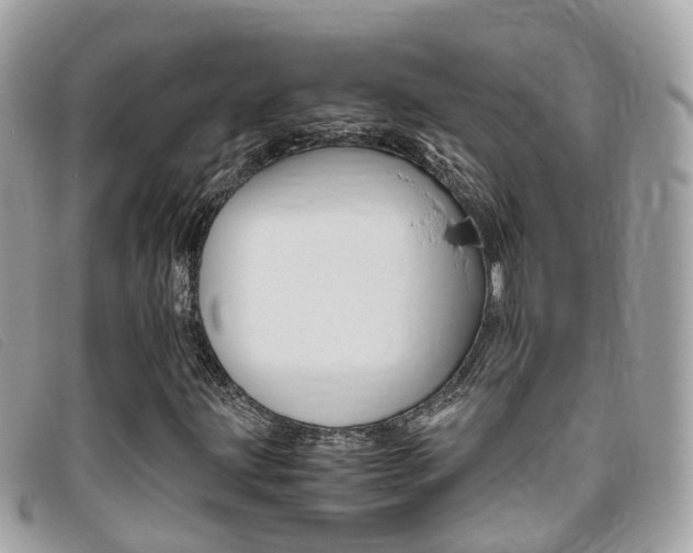 X0000095911203200801110819